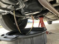 IMG_6410.jpeg