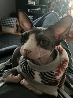 IMG_1466.jpeg