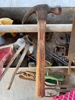 IMG_9895.jpeg