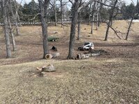 IMG_2838.jpeg IMG_2838.jpeg