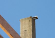 pully (2).JPG pully (2).JPG