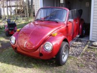 beetle1.jpg