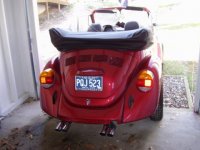 beetle2.jpg