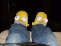 homer webpage compressed.jpg