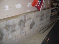 IMG_5541.JPG