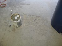 IMG_0067.jpg