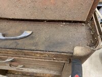 IMG_2253.jpeg