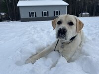 IMG_0417.jpeg