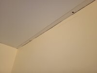 20250108_155441.jpg 20250108_155441.jpg
