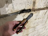 IMG_6271.jpeg