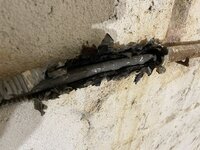 IMG_6274.jpeg