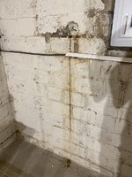 IMG_6427.jpeg