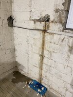 IMG_6444.jpeg