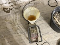 IMG_6554.jpeg