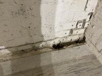 IMG_6565.jpeg