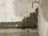 IMG_6588.jpeg
