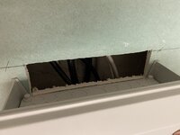 IMG_9995.jpeg