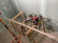 IMG_0081.jpeg