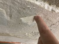 IMG_0095.jpeg