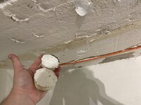 IMG_0239.jpeg
