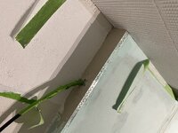 IMG_0281.jpeg