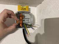 IMG_0337.jpeg