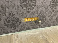 IMG_0629.jpeg