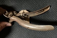IMG_0146.jpeg
