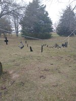 IMG_20221124_151905645.jpg