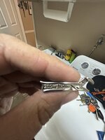 IMG_9241.jpeg
