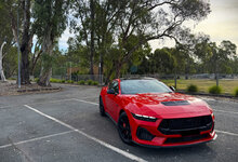 IMG-3749f.jpg