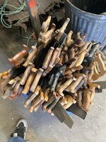 IMG_8667.jpeg IMG_8667.jpeg