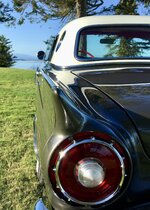 IMG_6027.jpeg