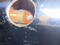 IMG_6560.jpeg
