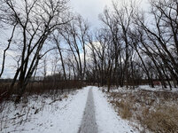 IMG-0348.jpg IMG-0348.jpg