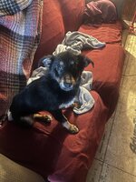 IMG_5433.jpeg