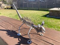 IMG_0516.jpg