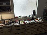 IMG_5245.jpeg