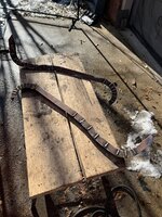 IMG_6058.jpeg