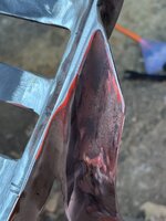 IMG_6107.jpeg