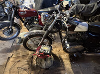 IMG-6146.jpg