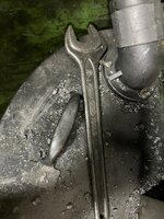 IMG_9584.jpeg