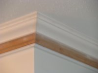 DSC01567.jpg
