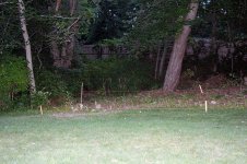 IMG_2713.JPG