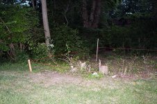 IMG_2715.JPG