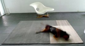 Carpet with salesman.jpg