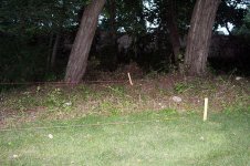 IMG_2716.JPG