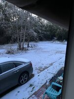 IMG_2606.jpeg