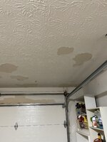 IMG_6668.jpeg