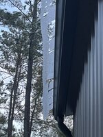 IMG_2627.jpeg